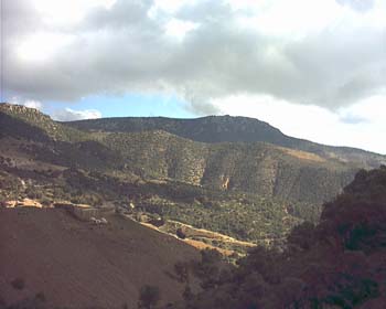 AIN ALMOU SIDI YAHYA JDAYANE (11)