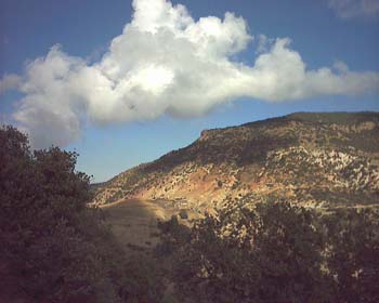 AIN ALMOU SIDI YAHYA JDAYANE (12)