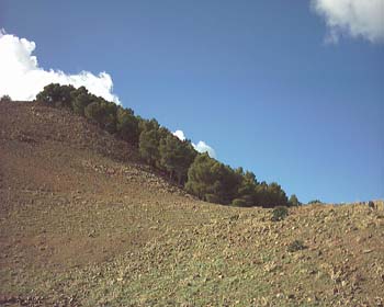 AIN ALMOU SIDI YAHYA JDAYANE (2)