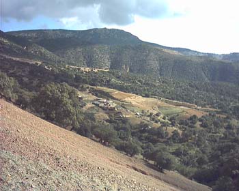 AIN ALMOU SIDI YAHYA JDAYANE (3)
