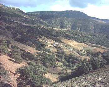 AIN ALMOU SIDI YAHYA JDAYANE (4)