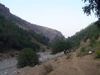 Wartase (13)