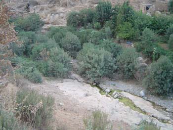 Wartase (35)