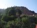 Wartase (1)