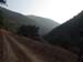 Wartase (11)